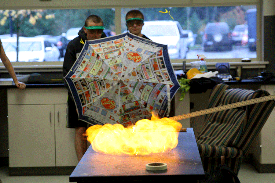 In AP chemistry, Mr. Berg has students do a variety of labs, many of which involve fire. If you took chemistry and enjoyed it, AP chemistry may be a great class for you.