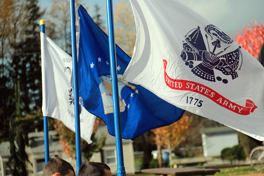 The flags for different branches of the military wave during the Veterans Day Parade in Arlington on November 11, 2015