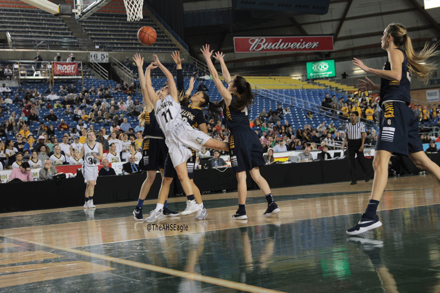 Sarah Shortt ('16) puts up a shot during the State Championship game. 