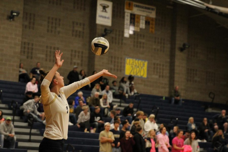 Unsung Heroes-Volleyball