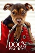 A Dog's Way Home Movie Review