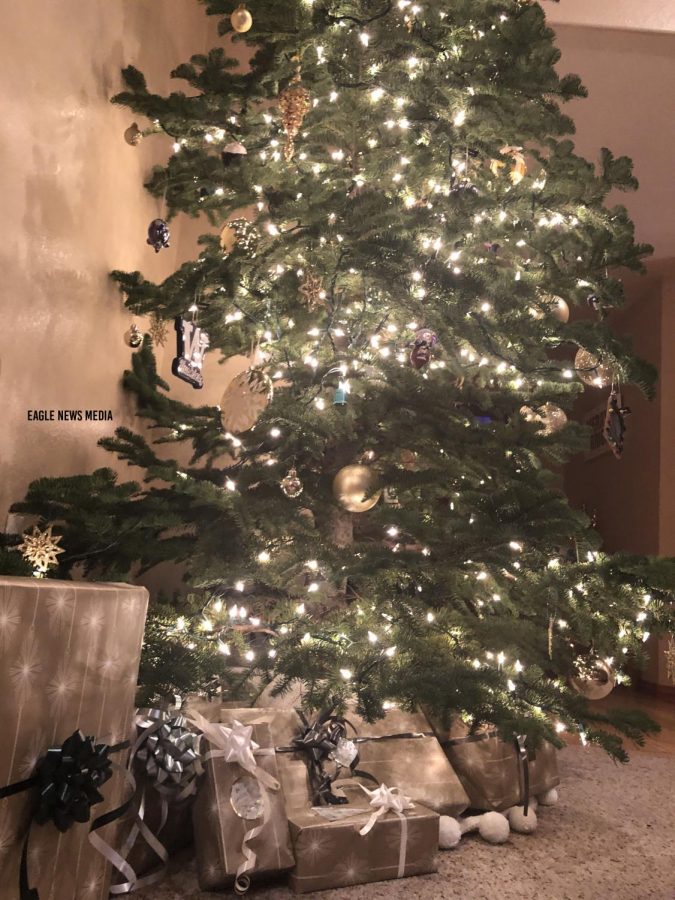 Presents are lying under the decorated tree of a student, waiting to be opened on Christmas day.