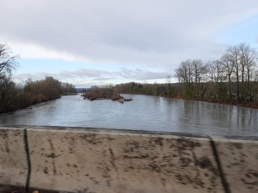 The Stillaguamish River,  Arlington, after several days of heavy rain. 