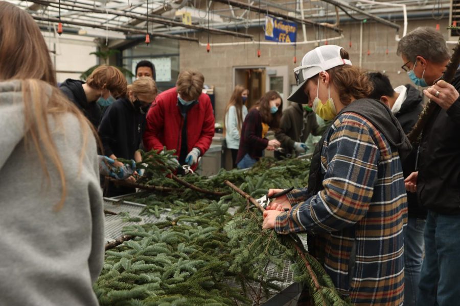 A member of the Future Farmers of America Club (FFA) are seen making wreaths for a fundraiser on Nov. 22.