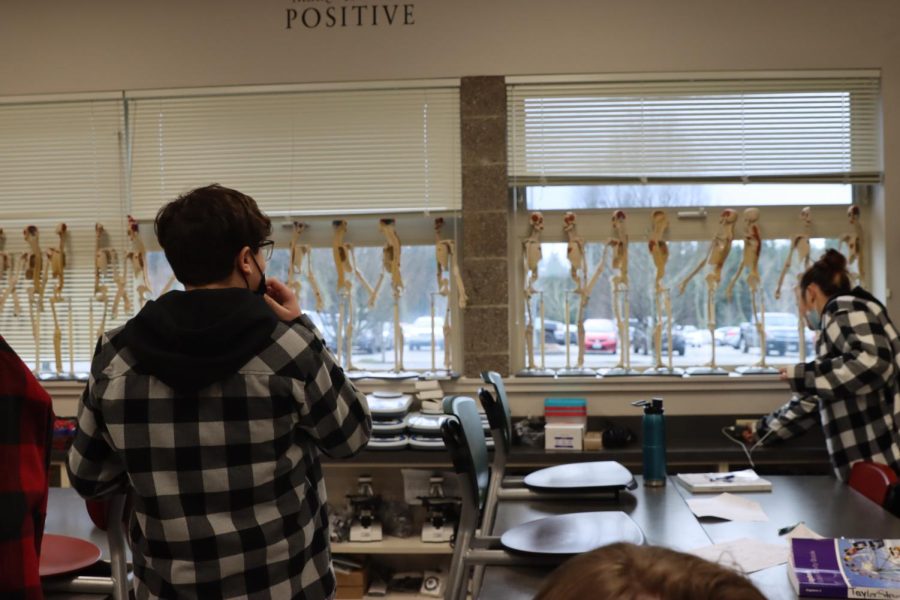 A member of the sports medicine club is seen standing in front of skeletons on Dec. 15.