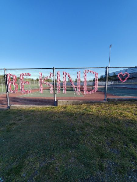 Key Club puts red cups into the fenceline every year during Kindness Week. 