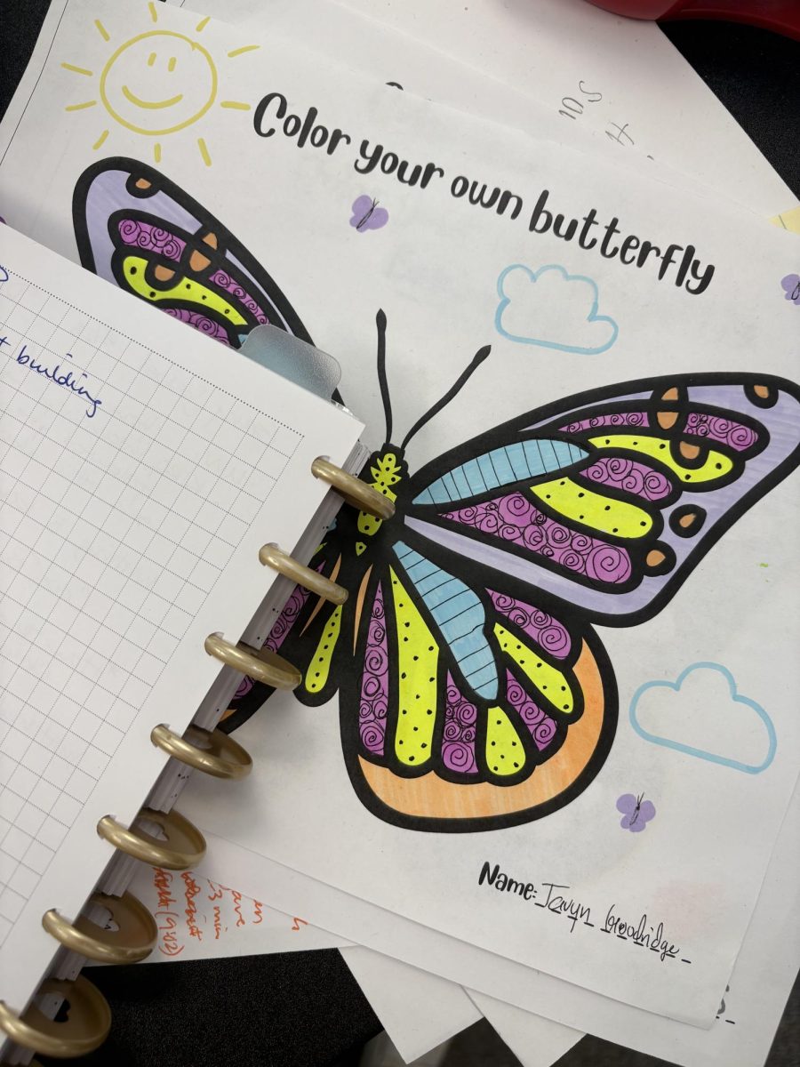 Assignment done by Tavyn Goodridge in Careers in Education.