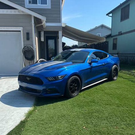 Elisha Alonso's ('26) Blue Ford Mustang