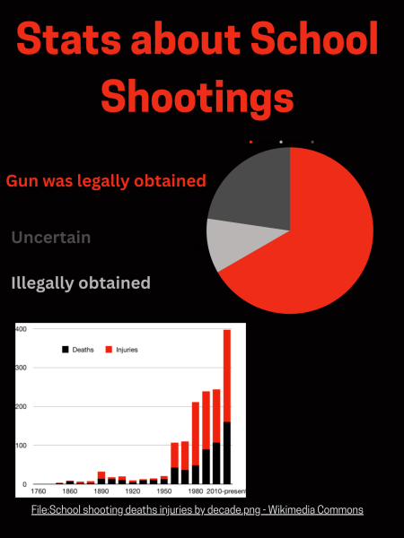Info graphic on School Shootings 