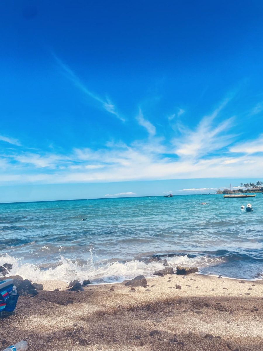 The beach in the summer can be so beautiful and relaxing. 